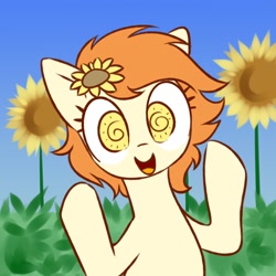 Size: 2000x2000 | Tagged: safe, artist:anonymous, derpibooru import, oc, oc only, oc:thursday, earth pony, /bale/, earth pony oc, female, female oc, flower, flower in hair, looking at you, mare, mare oc, open mouth, open smile, outdoors, raised hooves, smiling, smiling at you, solo, sunflower, weekday ponies, wingding eyes