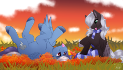 Size: 3000x1730 | Tagged: safe, artist:decemberbreeze, derpibooru import, oc, oc only, pegasus, pony, :p, autumn, duo, outdoors, pegasus oc, silly, silly pony, tongue, tongue out