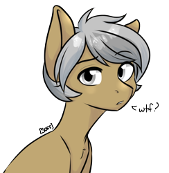 Size: 1360x1394 | Tagged: safe, artist:soff, derpibooru import, oc, oc only, oc:hind, earth pony, pony, bust, confused, gray eyes, grey hair, looking at you, male, portrait, solo, solo male, stallion