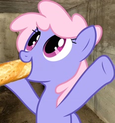 Size: 3246x3478 | Tagged: safe, derpibooru import, rainbowshine, pegasus, pony, g4, baguette, bread, cute, dungeon, eating, female, food, herbivore, looking up, mare, rainbowshining, solo