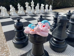 Size: 2048x1536 | Tagged: safe, derpibooru import, cozy glow, pegasus, pony, g4, chess, irl, outdoors, photo, plushie