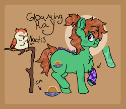 Size: 2048x1761 | Tagged: safe, artist:arsonrabbit, derpibooru import, oc, oc only, oc:gloaming ray, bird, owl, pony, unicorn, g4, abstract background, brown hair, brown mane, brown tail, chest fluff, circle background, digital art, ear fluff, ears, green coat, horn, leg scar, male, passepartout, ponytail, purple eyes, raised hoof, raised leg, scar, signature, sock, solo, stallion, tail, unicorn oc