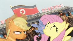 Size: 1280x720 | Tagged: safe, applejack, fluttershy, bat pony, irl, north korea