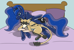 Size: 1280x853 | Tagged: safe, artist:fox0808, derpibooru import, princess luna, oc, alicorn, griffon, pony, bed, griffon oc, latex, latex griffon, lying down, plushie, prone, sleeping