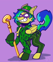 Size: 1575x1834 | Tagged: safe, artist:sharktempo, derpibooru import, oc, oc only, pegasus, pony, cane, clothes, cosplay, costume, dc comics, grin, purple background, question mark, simple background, smiling, solo, suit, teeth, the riddler, wand