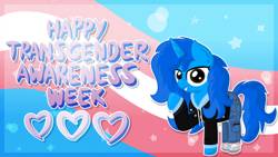 Size: 640x360 | Tagged: safe, oc, solo, transgender pride flag