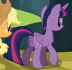 Size: 409x398 | Tagged: safe, derpibooru import, screencap, applejack, twilight sparkle, twilight sparkle (alicorn), alicorn, pony, g4, cropped, female, looking back, mare, misleading thumbnail, my little pony: friendship is magic, outdoors, solo focus, trade ya!, twilight sparkle's genital censorship, walking