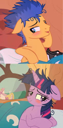 Size: 540x1088 | Tagged: safe, flash sentry, twilight sparkle, twilight sparkle (alicorn), alicorn, pegasus, pony, comic, female, flashlight, male, mare, shipping, stallion, straight