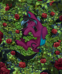 Size: 2082x2480 | Tagged: safe, alternate version, artist:glumarkoj, derpibooru import, oc, oc only, oc:razzmatazz gleam, hybrid, pegabat, pony, female, flower, mare, outdoors, rose, sleeping, solo