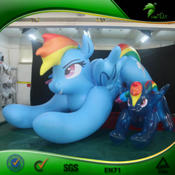 Size: 600x600 | Tagged: safe, derpibooru import, rainbow dash, inflatable pony, pegasus, pony, g4, bootleg, duo, female, frame, hongyi, indoors, inflatable, inflatable pegasus, inflation valve, iwtcird, mare, meme, opaque inflatable, size difference, translucent inflatable