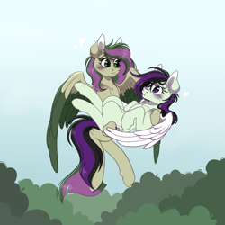 Size: 894x894 | Tagged: safe, artist:mikara03, derpibooru import, oc, oc only, earth pony, pegasus, pony, carrying, duo