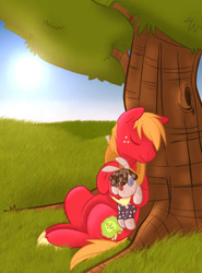 Size: 749x1014 | Tagged: safe, artist:briskby, artist:knighty33, derpibooru import, big macintosh, smarty pants, earth pony, pony, g4, day, male, sitting in a tree, sitting on grass, sleeping, solo, tree