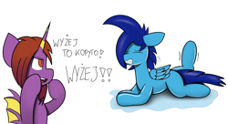 Size: 3540x1926 | Tagged: safe, artist:japkozjad, derpibooru import, oc, oc only, oc:apply, oc:cherry starfall, pegasus, bat pony alicorn oc, gymnastics, motivational, pegasus oc, polish, simple background, sweat, sweat pool, text, training, translated in the description, white background