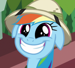 Size: 445x405 | Tagged: safe, derpibooru import, screencap, rainbow dash, pegasus, pony, g4, stranger than fan fiction, cropped, ears, female, floppy ears, mare, my little pony: friendship is magic, solo