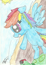 Size: 828x1161 | Tagged: safe, artist:martyart21, derpibooru import, rainbow dash, tank, pegasus, pony, g4, solo