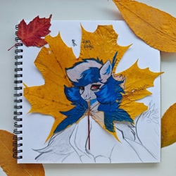 Size: 2560x2560 | Tagged: safe, artist:raychelrage, derpibooru import, oc, oc only, oc:rachel rage, pegasus, pony, autumn leaves, bust, high res, leaves, mixed media, solo, traditional art