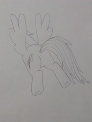 Size: 3072x4096 | Tagged: safe, artist:aa68., derpibooru exclusive, derpibooru import, rainbow dash, pegasus, pony, g4, 2024, butt, cute, female, plot, rainbutt dash, simple background, solo, traditional art, white background