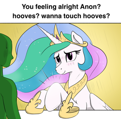 Size: 1260x1240 | Tagged: safe, artist:eels, derpibooru import, princess celestia, oc, oc:anon, alicorn, human, pony, g4, boobs? wanna touch boobs?, bronybait, duo, hoof shoes, hooves, human and pony, jewelry, meme, princess shoes, regalia, solo focus