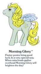 Size: 550x1000 | Tagged: safe, derpibooru import, morning glory, flutter pony, pegasus, pony, g1, bow, cute, female, g1 backstory, mare, morningdorable, my little pony fact file, official, smiling, solo, tail, tail bow, text