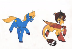 Size: 1953x1341 | Tagged: safe, artist:tazzy-girl, derpibooru import, oc, oc only, oc:sun blitz, dracony, dragon, hybrid, pony, female, male, stallion, traditional art