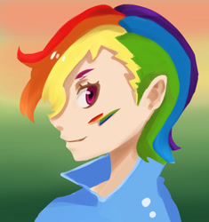 Size: 1600x1700 | Tagged: safe, artist:animesoul, derpibooru import, part of a set, rainbow dash, human, g4, face paint, female, humanized, profile, solo