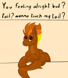 Size: 3500x4000 | Tagged: safe, artist:windy, derpibooru import, oc, oc only, oc:windflyer, original species, pony, shark, shark pony, boobs? wanna touch boobs?, eyebrows, eyebrows visible through hair, fish tail, meme, shark tail, solo, tail