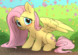 Size: 7016x4961 | Tagged: safe, alternate version, artist:derpydoodesigns, artist:derpydooreviews, derpibooru import, fluttershy, pegasus, pony, absurd resolution, blushing, cherry blossoms, cute, daaaaaaaaaaaw, female, flower, flower blossom, looking at you, mare, outdoors, partially open wings, shyabetes, sitting, smiling, smiling at you, solo, sweet dreams fuel, wings