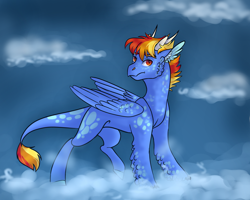 Size: 1024x820 | Tagged: safe, artist:pjj0, derpibooru import, oc, oc only, dracony, dragon, hybrid, cloud, female, leonine tail, magical lesbian spawn, next generation, offspring, on a cloud, outdoors, parent:princess ember, parent:rainbow dash, parents:emberdash, solo, tail