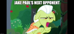 Size: 1082x499 | Tagged: safe, derpibooru import, edit, edited screencap, screencap, granny smith, earth pony, pony, g4, the big mac question, fight, jake paul, my little pony: friendship is magic, open mouth, outdoors, ufc