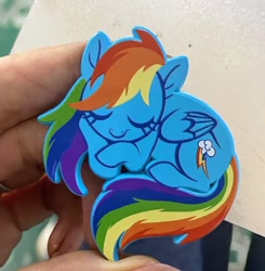 Size: 718x732 | Tagged: safe, artist:sophie scruggs, derpibooru import, rainbow dash, pony, eyes closed, irl, photo, pins, solo