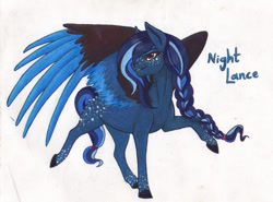 Size: 1294x955 | Tagged: safe, artist:tazzy-girl, derpibooru import, oc, oc:night lance, pegasus, pony, braid, braided ponytail, colored wings, female, mare, ponytail, solo, sternocleidomastoid, traditional art, two toned wings, wings