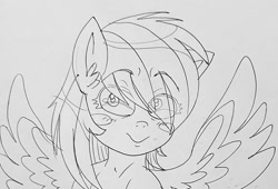 Size: 881x600 | Tagged: safe, artist:poneigh777, derpibooru import, rainbow dash, pegasus, pony, blush sticker, blushing, bust, female, head turn, lineart, looking at you, mare, monochrome, portrait, smiling, smiling at you, solo, spread wings, traditional art, wings