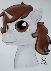 Size: 1881x2620 | Tagged: safe, artist:sparkler, derpibooru import, oc, oc only, oc:dorm pony, pony, unicorn, horn, photo, solo