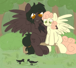 Size: 1000x900 | Tagged: safe, artist:php193, derpibooru import, oc, oc only, oc:soft sonance, oc:stormchaser, bird, pegasus, bush, couple, duo, duo male and female, female, grass, male, mare, stallion, tree