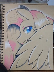 Size: 3120x4160 | Tagged: safe, artist:edgarkingmaker, derpibooru import, fluttershy, pegasus, colored pencils, etsy, female, photo, solo