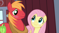 Size: 1920x1080 | Tagged: safe, anonymous artist, derpibooru import, edit, edited screencap, screencap, big macintosh, fluttershy, earth pony, pegasus, pony, brotherhooves social, g4, barn, blushing, character swap, duo, duo male and female, female, fluttermac, indoors, looking at each other, looking at someone, male, mare, my little pony: friendship is magic, shipping, smiling, smiling at each other, stallion, straight