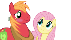 Size: 8000x4500 | Tagged: safe, anonymous artist, derpibooru import, big macintosh, fluttershy, earth pony, pegasus, pony, brotherhooves social, g4, absurd resolution, blushing, duo, duo male and female, female, fluttermac, looking at each other, looking at someone, male, mare, my little pony: friendship is magic, shipping, simple background, smiling, smiling at each other, stallion, straight, transparent background, vector