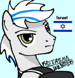 Size: 395x410 | Tagged: safe, artist:fantasma bêbado, derpibooru import, oc, earth pony, pony, blue background, flag, icon, israel, male, nation ponies, ponified, signature, simple background, solo, species swap, stallion