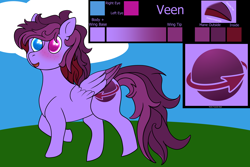 Size: 6000x4000 | Tagged: safe, artist:eminent entropy, derpibooru import, oc, oc only, oc:veen, pegasus, pony, background, cloud, heterochromia, pegasus oc, reference sheet, solo