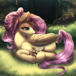 Size: 1700x1700 | Tagged: safe, artist:misscinnabunnie, derpibooru import, fluttershy, hybrid, pegasus, pony, female, grass, head turn, interspecies offspring, lying down, mare, offspring, older, older fluttershy, outdoors, parent:discord, parent:fluttershy, parents:discoshy, ponyloaf, prone, sleeping