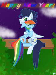 Size: 1200x1600 | Tagged: safe, artist:rai2n, derpibooru import, rainbow dash, soarin', pegasus, pony, bench, bush, cloud, eyes closed, female, grass, happy new year, holiday, hug, male, mare, night, outdoors, shipping, sky, smiling, soarindash, stallion, straight