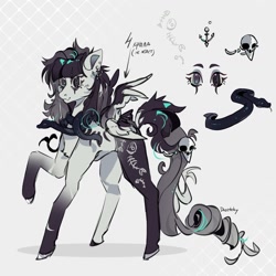 Size: 1280x1280 | Tagged: safe, artist:dazetzky, derpibooru import, oc, oc only, pegasus, pony, snake, chest fluff, concave belly, ear piercing, earring, female, heterochromia, jewelry, mare, piercing, reference sheet, skull, solo