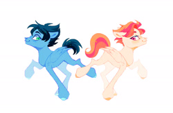 Size: 2283x1494 | Tagged: safe, artist:kraytt-05, derpibooru import, oc, oc only, oc:cloud, oc:sun, pegasus, pony, duo, next generation, siblings, simple background, twins, white background