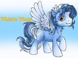 Size: 1600x1200 | Tagged: safe, artist:solixy406, derpibooru import, oc, pegasus, pony, solo