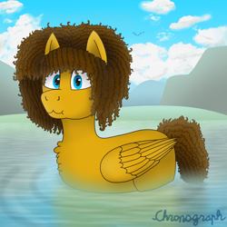 Size: 2048x2048 | Tagged: safe, artist:chronograph, derpibooru import, oc, oc only, oc:curly, bird, duck, pegasus, pony, :3, cloud, curly hair, curly mane, detailed background, digital art, flock, folded wings, gift art, male, outdoors, silly, solo, stallion, water, wings