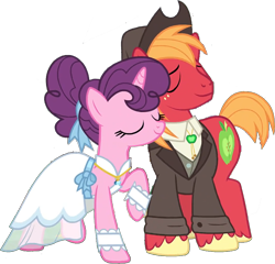 Size: 870x836 | Tagged: safe, derpibooru import, edit, edited screencap, editor:pascalmulokozi2, screencap, big macintosh, sugar belle, earth pony, unicorn, g4, season 9, the big mac question, bolo tie, clothes, cowboy hat, dress, dress shirt, female, hat, horn, male, mare, marriage, married couple, my little pony: friendship is magic, not a vector, shipping, shirt, simple background, smiling, stallion, straight, sugarmac, suit, transparent background, vest, wedding, wedding dress, wedding suit