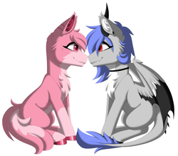 Size: 3393x2989 | Tagged: oc name needed, safe, alternate version, artist:melodytheartpony, derpibooru import, oc, oc only, oc:anon, oc:melody silver, dracony, dragon, hybrid, pegasus, pony, wolf, wolf pony, choker, commission, dragon wings, duo, ear piercing, facing each other, female, feral, happy, long mane, looking at each other, looking at someone, mare, piercing, ponified, red eyes, short mane, signature, simple background, sitting, smiling, species swap, spread wings, white background, wings, ych result