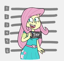 Size: 690x653 | Tagged: safe, artist:garybaldor, derpibooru import, fluttershy, human, equestria girls, g4, barbie mugshot meme, clothes, dress, female, meme, mugshot, nail polish, open mouth, open smile, smiling, solo