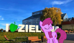 Size: 1008x594 | Tagged: safe, artist:orschmann, derpibooru import, edit, berry punch, berryshine, pony, g4, irl, outdoors, photo, poland, ponies in real life, zielona góra