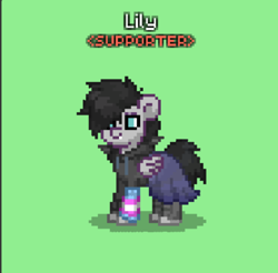 Size: 485x478 | Tagged: safe, derpibooru import, oc, oc only, bat pony, pony, bat pony oc, boots, clothes, emo, hoodie, pony town, pride, pride flag, shoes, skirt, transgender pride flag